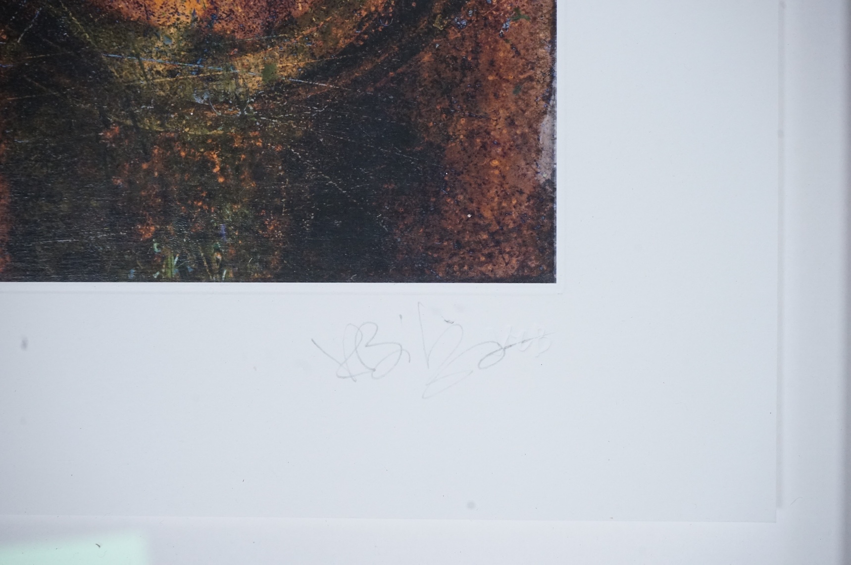 Valda Bailey (Contemporary), Abstract compositions to include ‘New Shoots’, ‘Through a Greenhouse Darkly’ and ‘A Strange Absence’, each signed in pencil, some limited edition, five photographic prints, largest 39 x 49cm